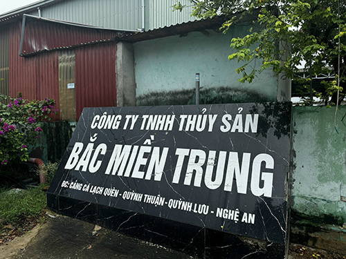 Giới thiệu